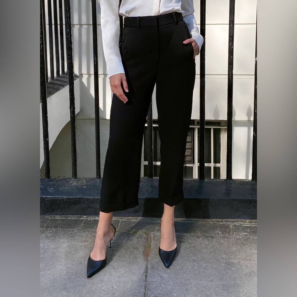 Aritzia janson pant